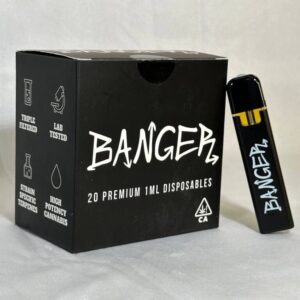 Banger Disposable 1G Vape