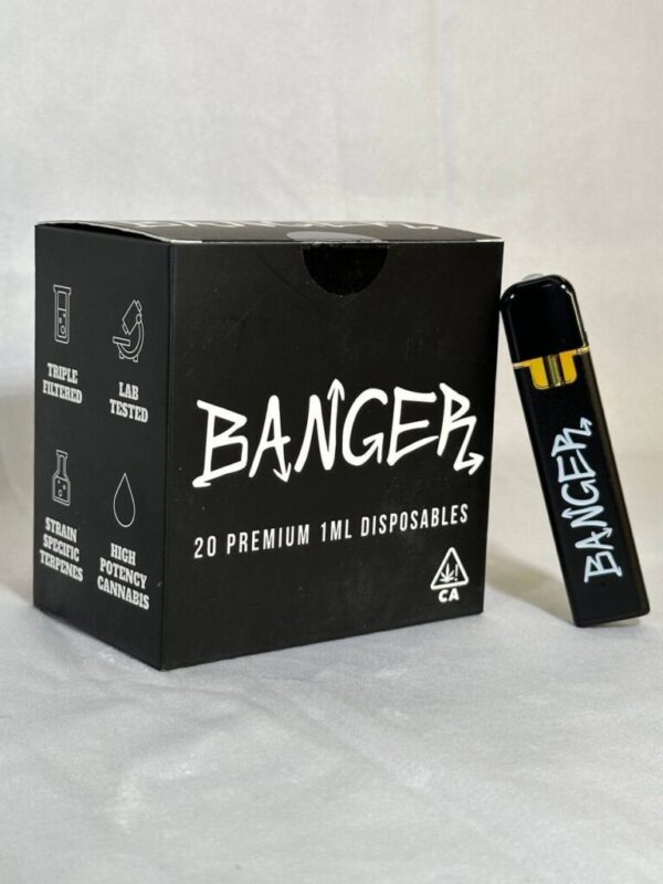 Banger Disposable 1G Vape